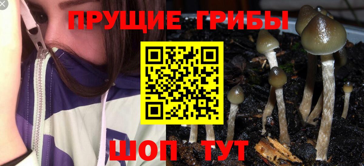 Псилоцибиновые грибы прущие грибы  Вход с VPN  Галлюциногенные грибы Magic Shrooms  Унеча 